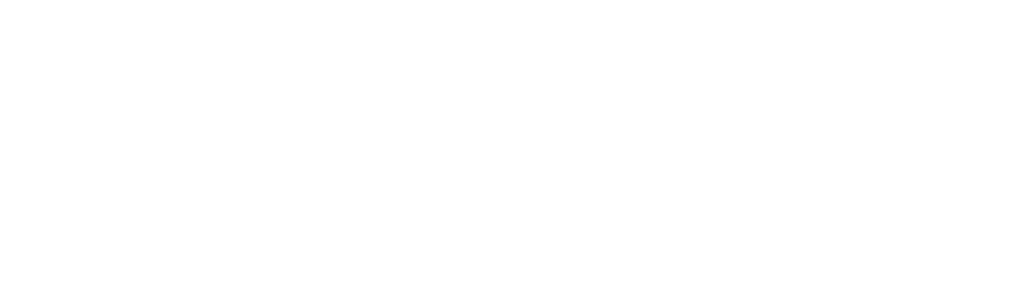 Wappler Logo weiß transparent