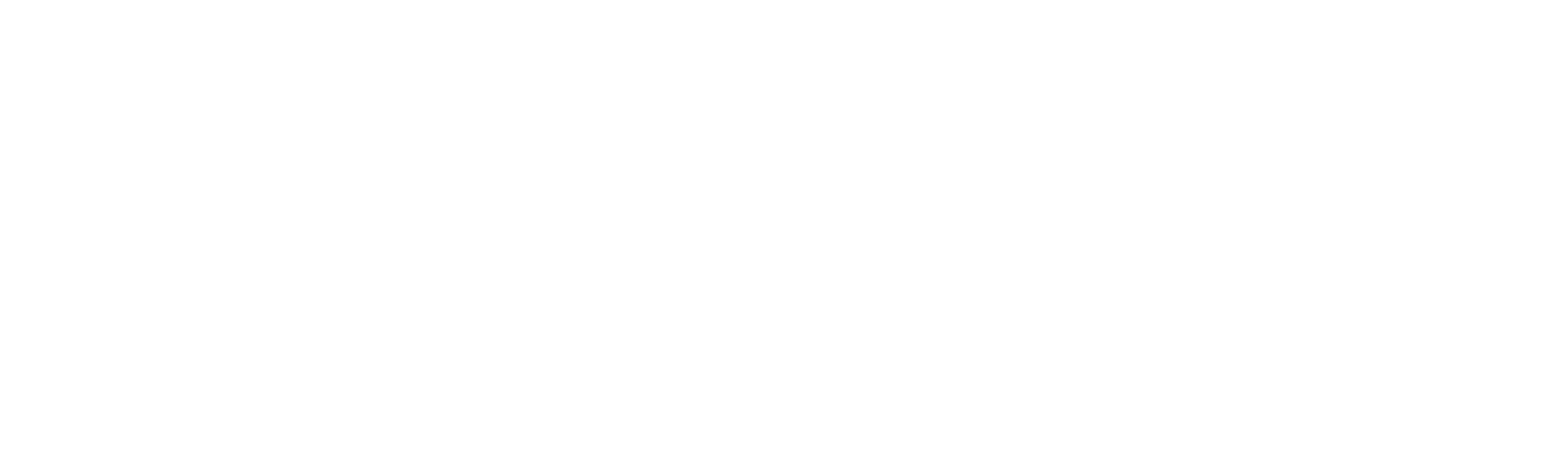 Wappler Logo weiß transparent